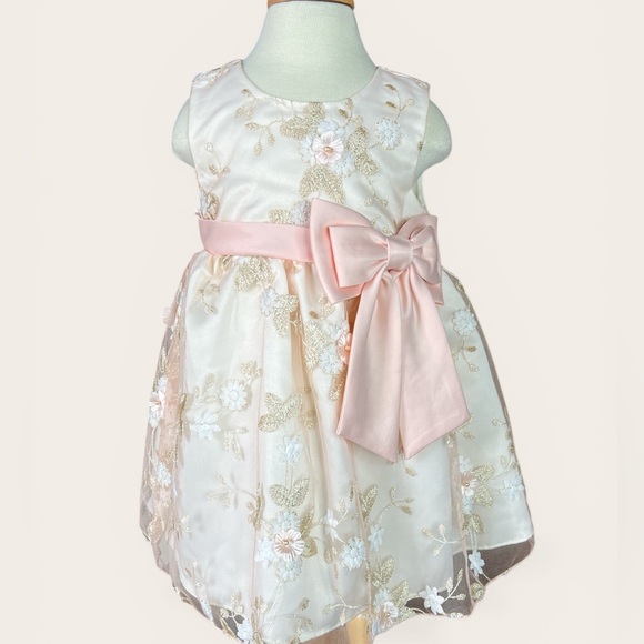 Rare Editions Other - Rare Editions Cream and Blush Pink Peach Embroidered Overlay Dress 24 Months